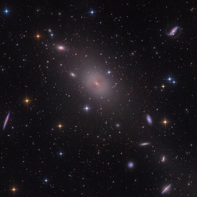 NGC 4365APOD-3small.jpg