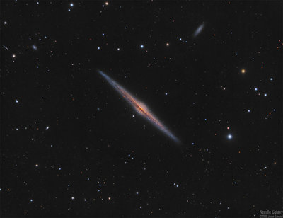 NGC4565 - The Needle Galaxy v1.2_small.jpg