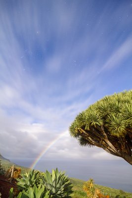 Arcoiris lunar vertical_small.jpg