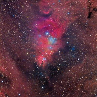 NGC2264.jpg