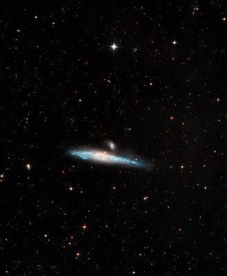 ngc-4631.jpg