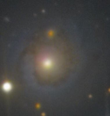 NGC 4492.JPG