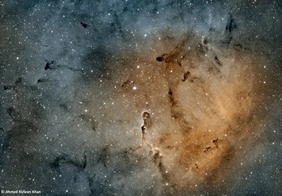 Elephant Trunk Nebula IC1396_jpg_small.jpg