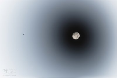 Moon meets Jupiter_V1_small.jpg