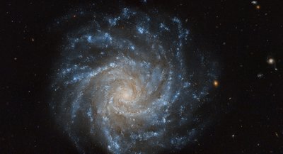 NGC 1376 - Domingo Pestana_small.jpg