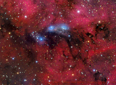 NGC 6914 LRGB 10Micron Processed v1-2.jpg