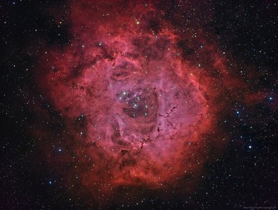Rosette Nebula Aleix Roig January 2018_small.jpg