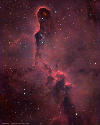 2018 06-10 - IC 1396 Elephant Trunk Nebula HaRGB (Mono-152mm Ref)_small.jpg