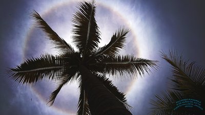 Solar Halo APOD_small.jpg