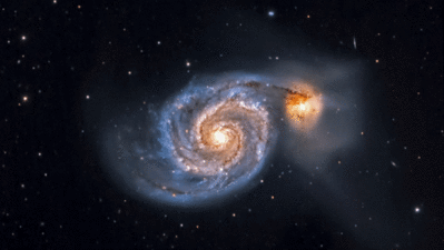 M51 Whirlpool Galaxy.gif