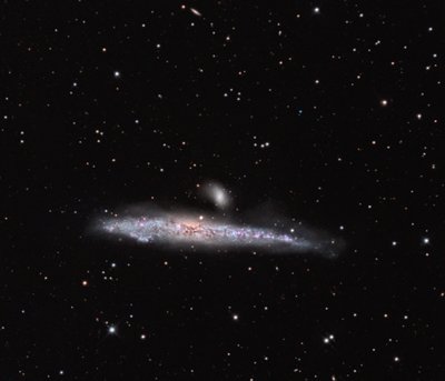 NGC4631RCOSf6DarkMottleRepFinal_small.jpg