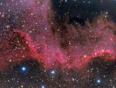 Perseid in the Cygnus Wall