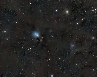 NGC1333_m.jpg