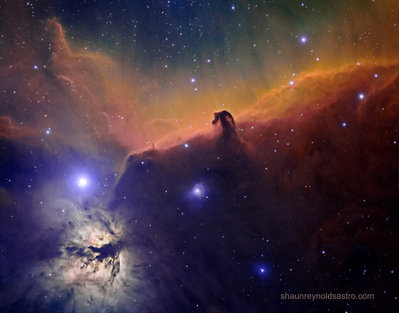 HORSEHEAD HUBBLE refiined colour jpg  copy signed.jpg