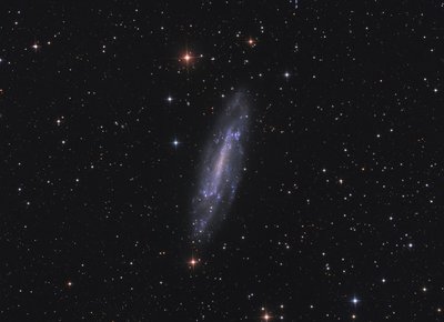 NGC4236.jpg