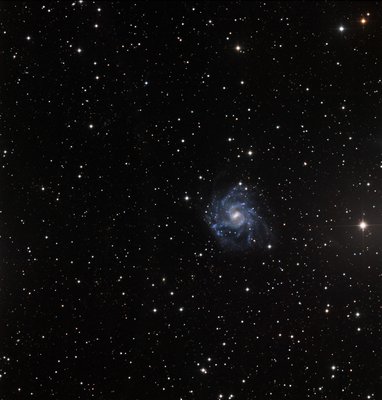 NGC7424.jpg