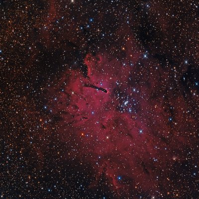 ngc6823.jpg