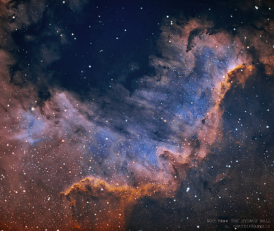 cygnus wall 7 NAME SM.jpg