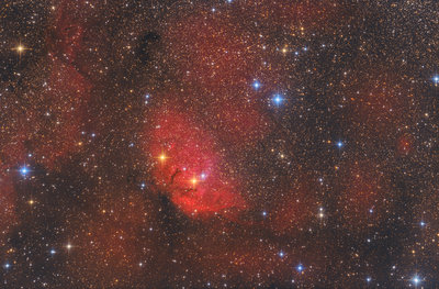 TulipNebula.jpg