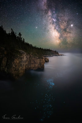 Acadia-6-6-2019-137-Edit.jpg