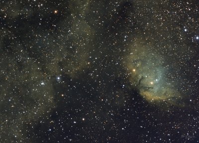 Tulip Nebula.jpg