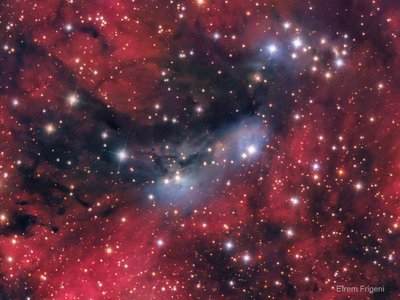 NGC6914_crop.jpg