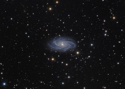 ngc2336.jpg