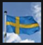 Tiny Swedish flag.png