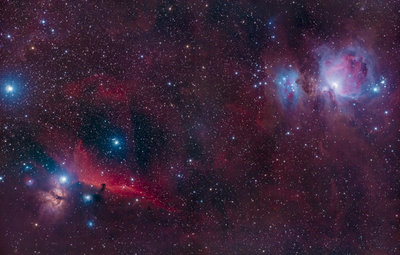 Orion Complex-3.jpg