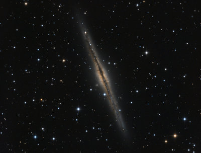 NGC891preview.jpg