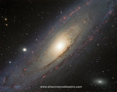 M31