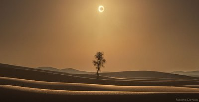 DesertEclipse_Daviron_960.jpg