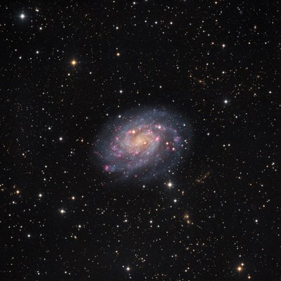 NGC-300.jpg