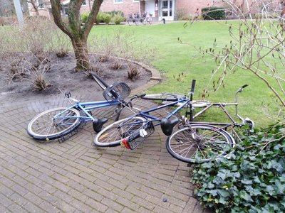 Fallen bicycles.jpg