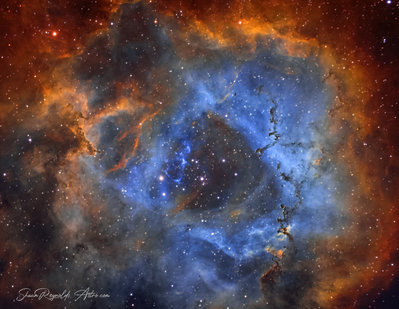 ROSETTE. APOD.jpg