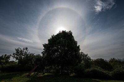 sunhalo_200509_abraham_1200.jpg