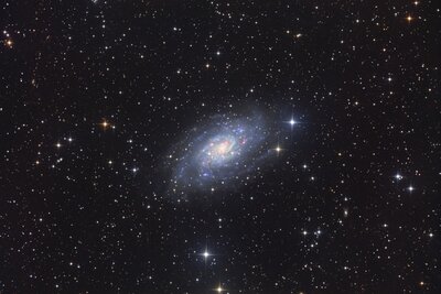 NGC2403.jpg