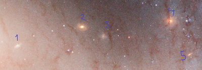 Background galaxies in NGC 1300.png
