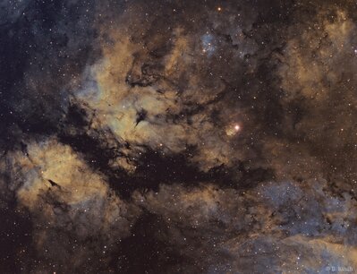 IC 1318  (1500 x 1149).jpg