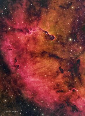 IC1396_CFHT_LD.jpg