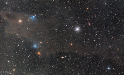 Kinch_Shark_Nebula_1 (1323 x 800).jpg