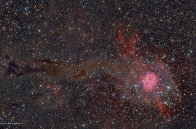 Cocoon nebula.jpg