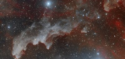 ic2118.jpg