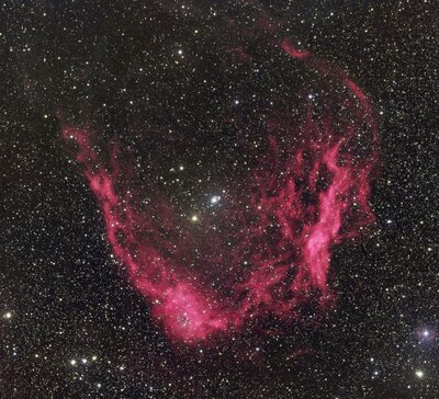 Sh2-129 - &quot;The Bat Nebula&quot;