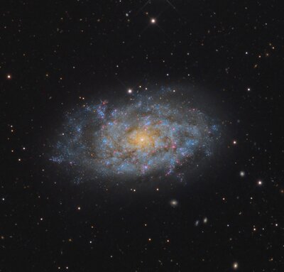 NGC7793.jpg