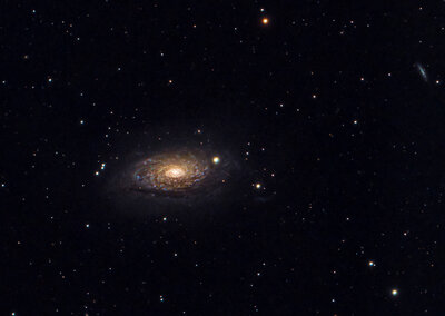 Sunflower_Galaxy_drizzle-St2.jpg