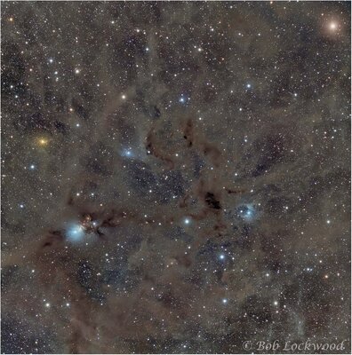 NGC1333 Vdb16_2020.Apod.jpg