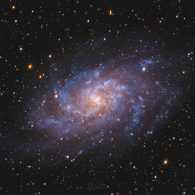 M33 FB Sig.jpg