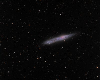 ngc55.jpg