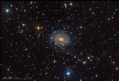 NGC 6902 Bernard Miller.png